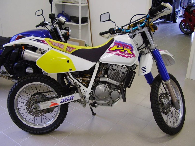 Suzuki dr250s