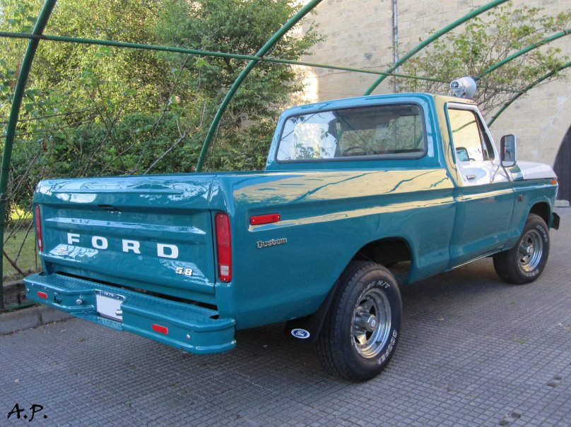 Ford 1976 f100