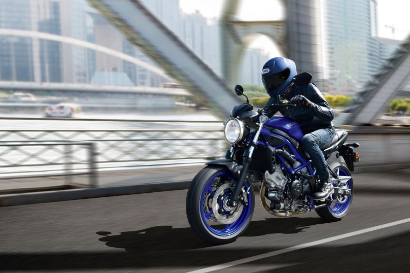 Suzuki sv650 2021