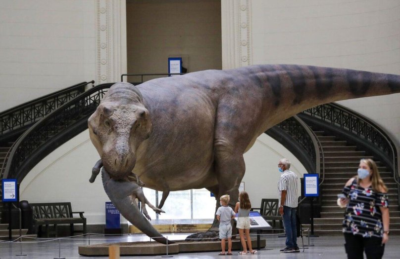 Сью Тираннозавр рекс реконструкция