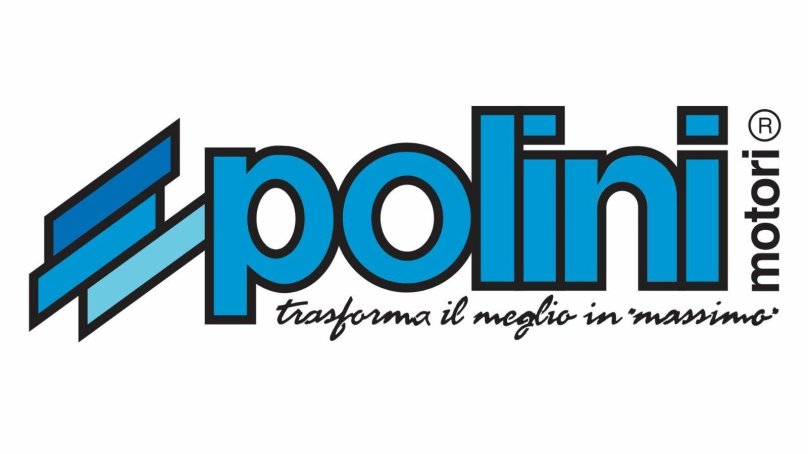 Наклейка полини