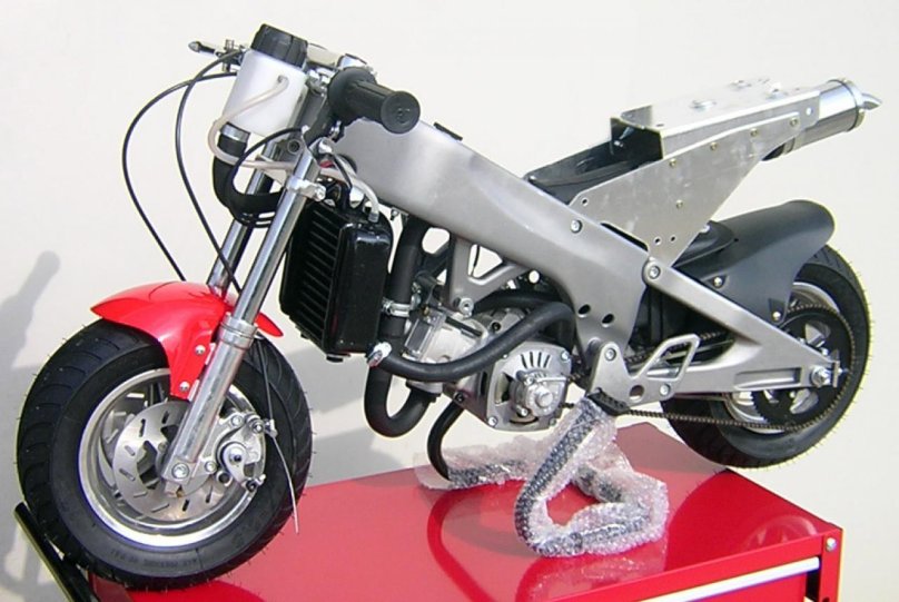 Pollini минимото