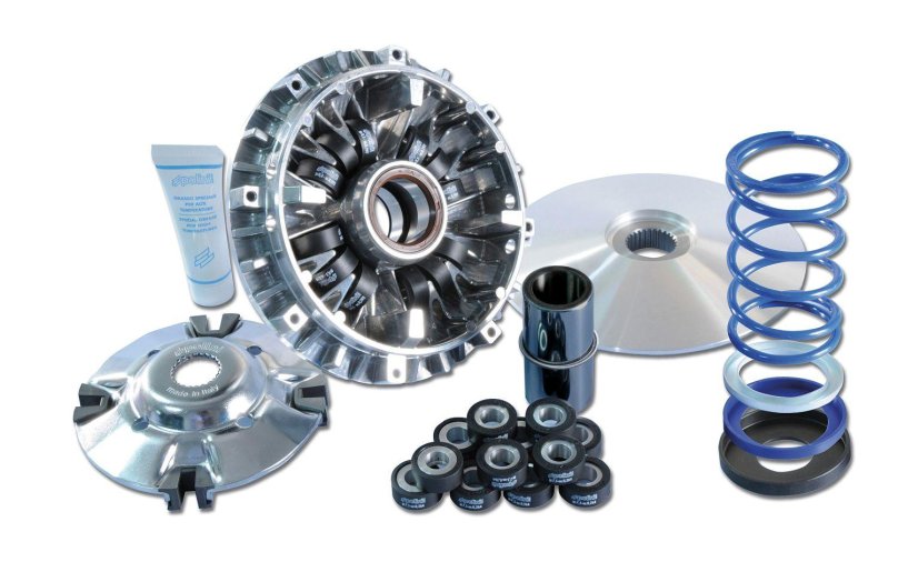 Вариатор полини