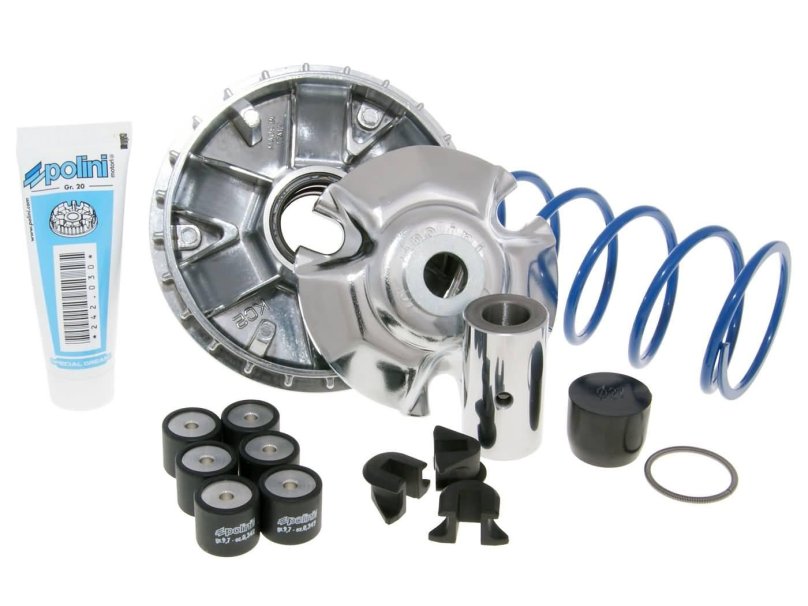 Вариатор полини