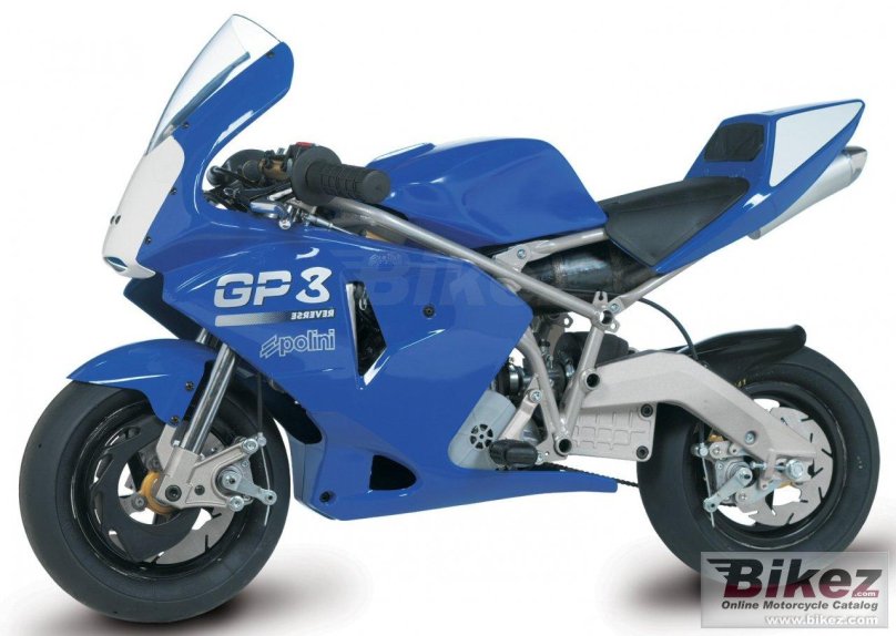 Pollini минимото