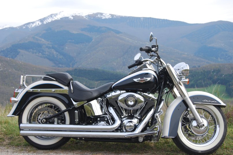 Harley Davidson Softail Deluxe