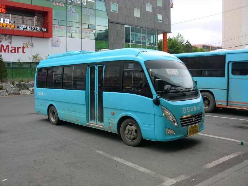 Автобусы Дэу Лестар