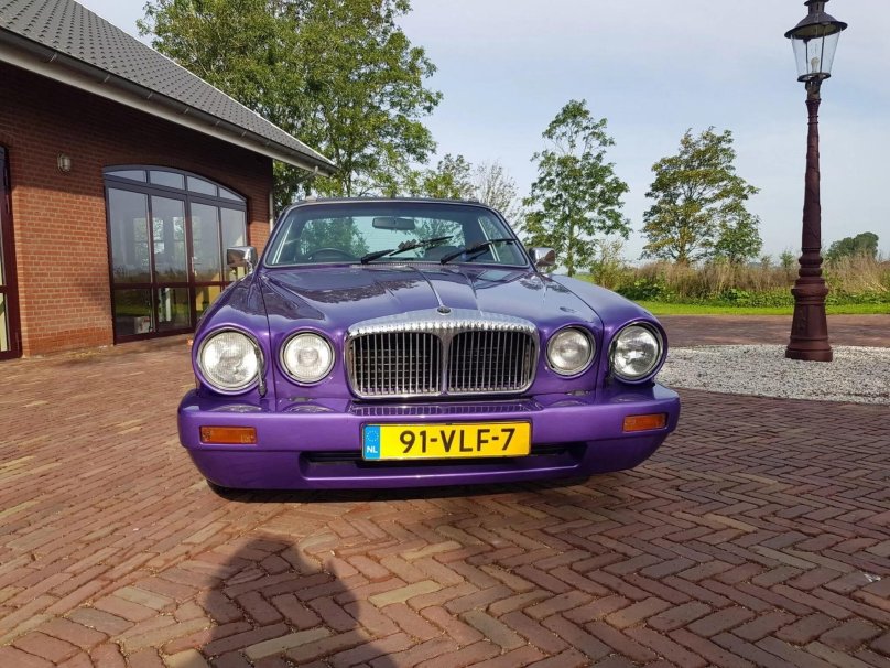 Фиолетовый Ягуар