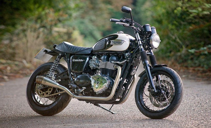 Triumph t100
