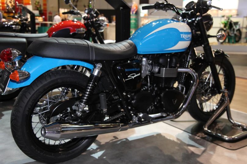 Triumph of the Spirit