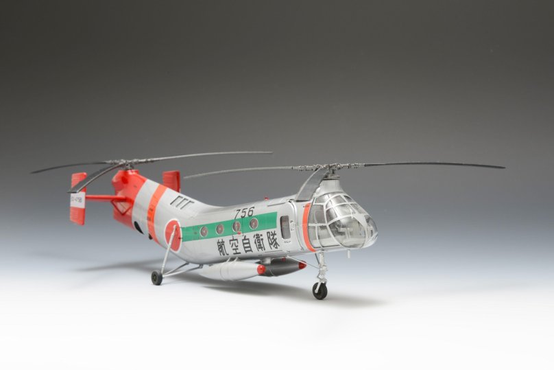 Piasecki h 21 fs2020