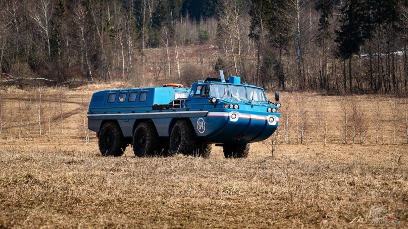 ЗИЛ-49061 синяя птица