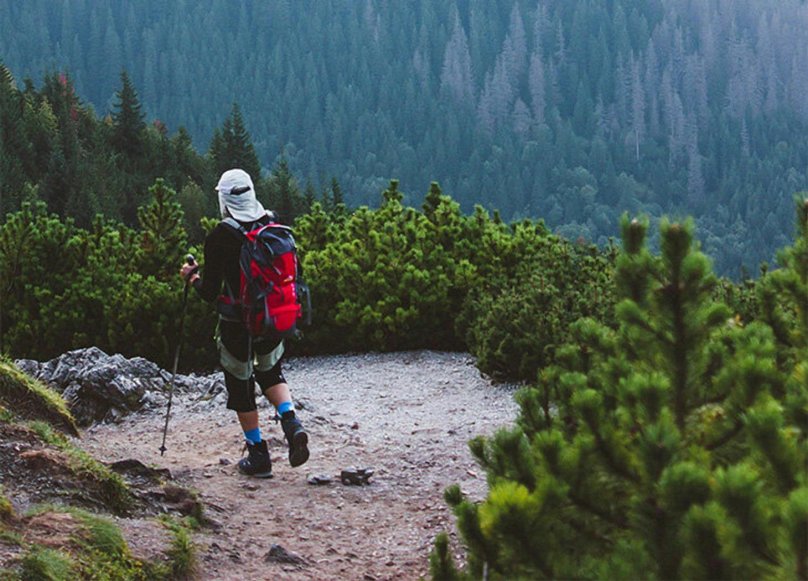 Лашкерек арчовые горы