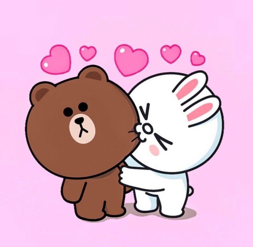 Brown Bear Cony
