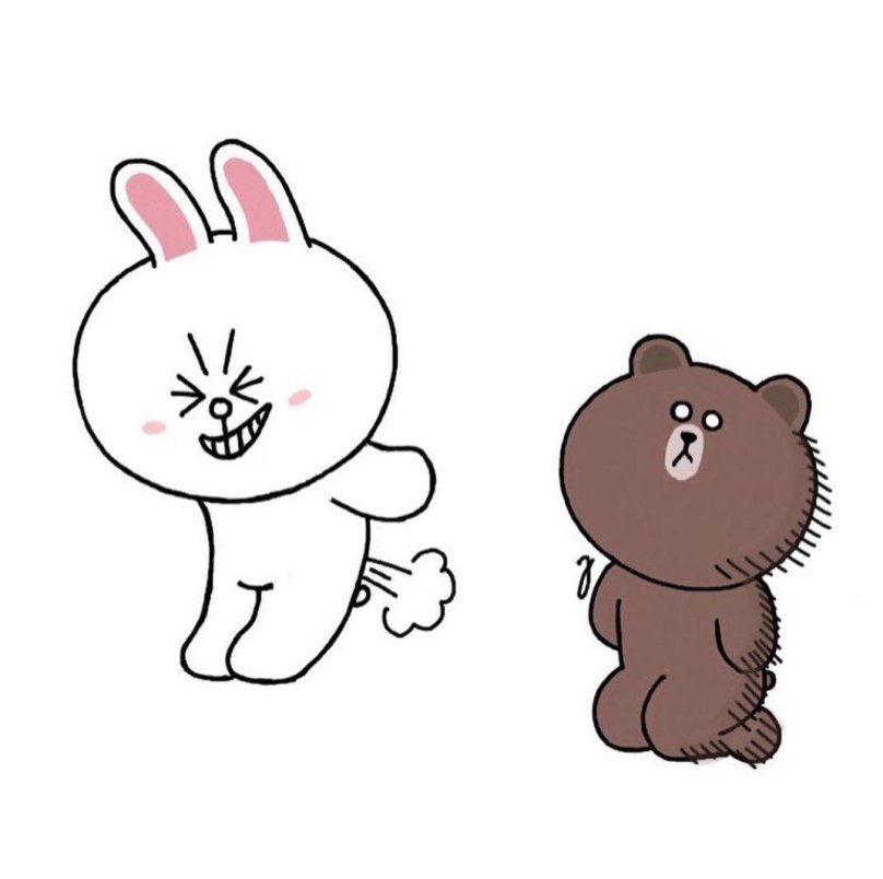 Cony and Brown