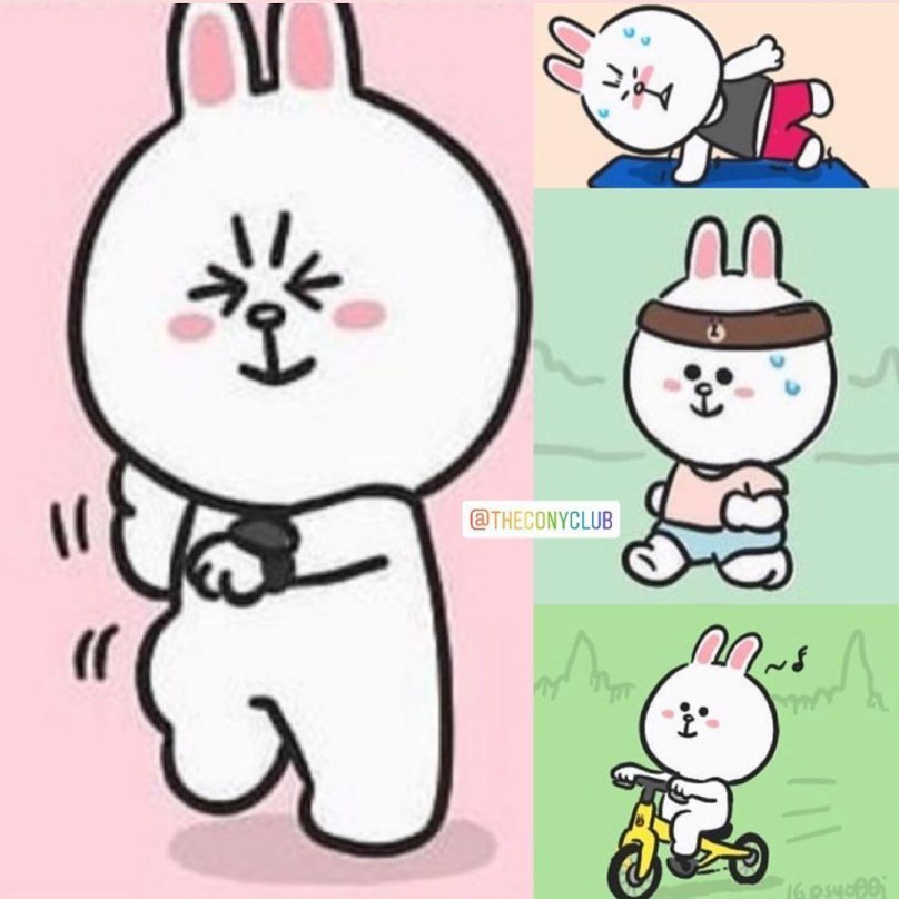 I Cony