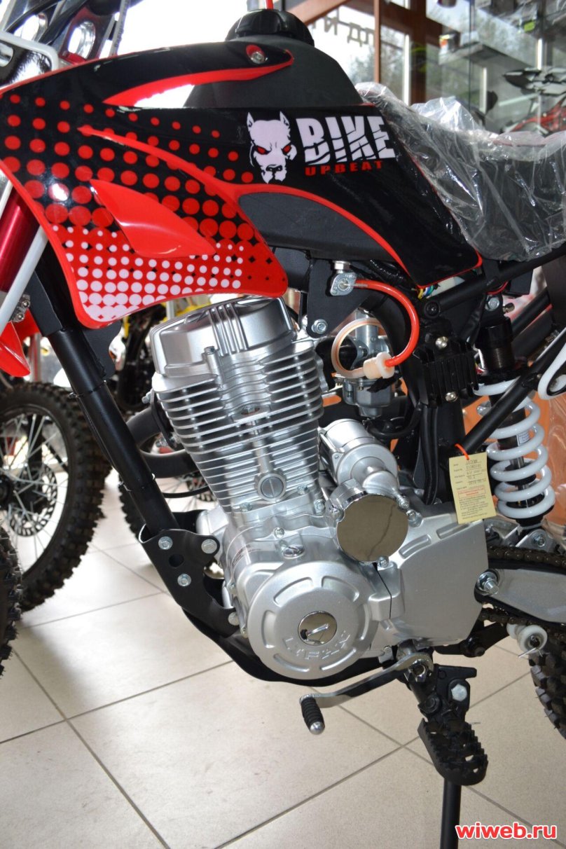 Virus 250 питбайк