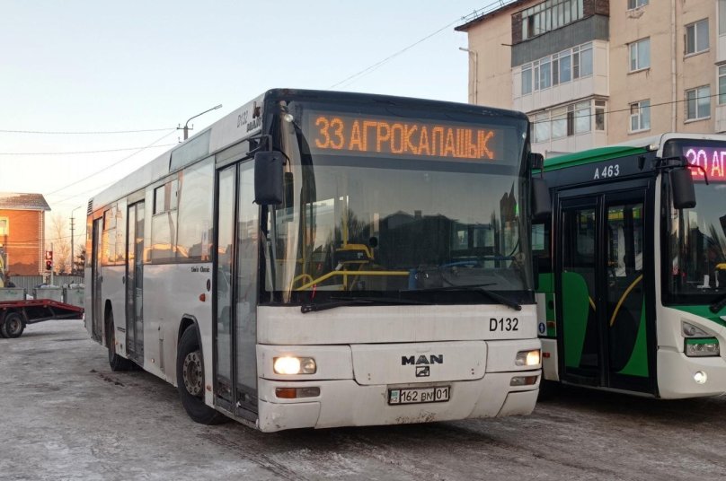 Man a74 Lion's Classic sl283