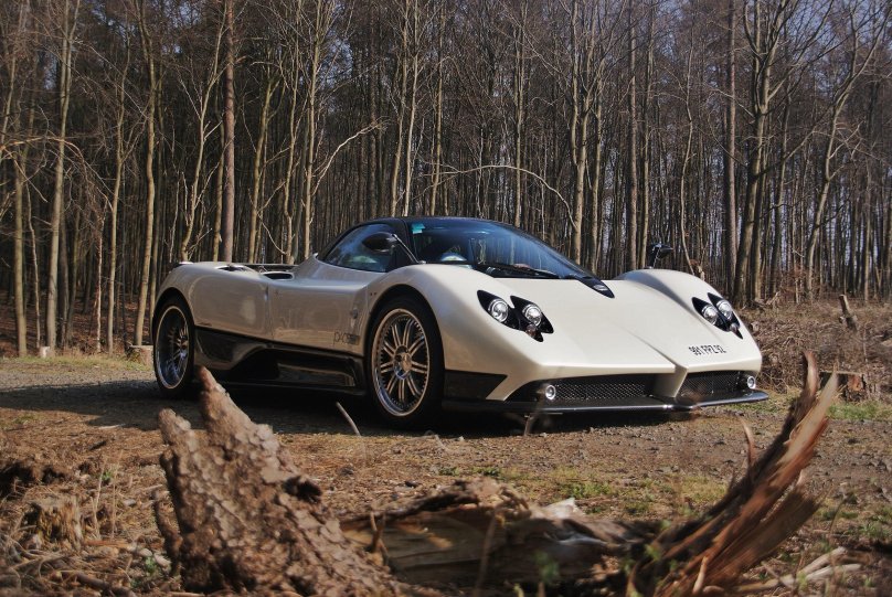 Pagani Zonda в лесу