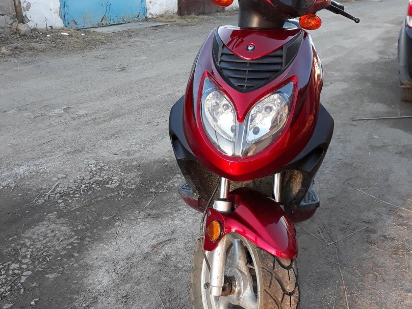 Рейсер Лупус 50