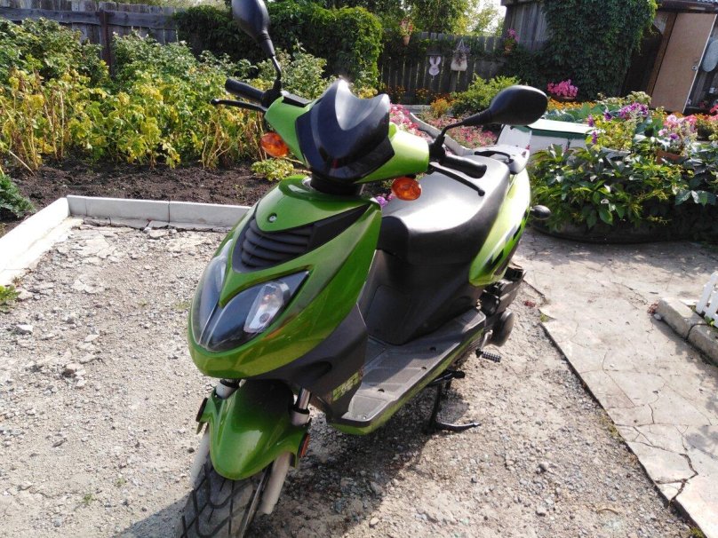 Рейсер Лупус 50