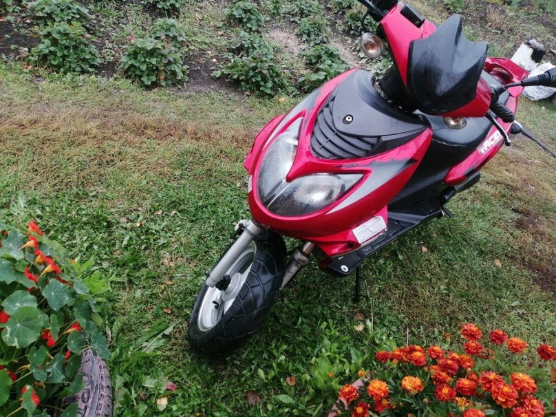 Рейсер Лупус 150