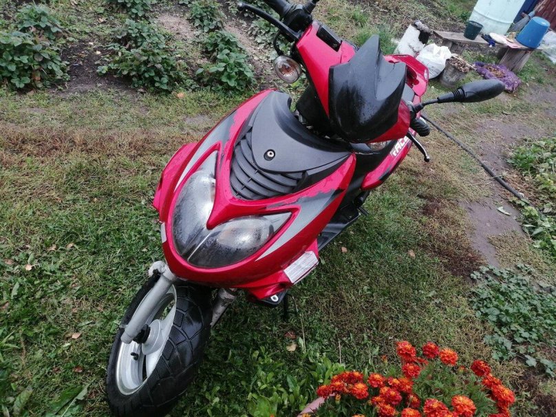 Рейсер Лупус