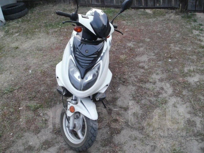 Рейсер Лупус 80