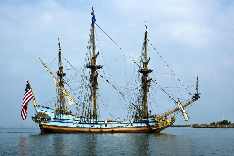 ПИНАС кальмар Нюкель