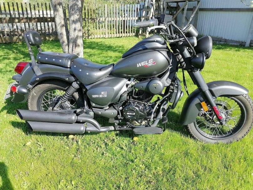 Велс трофейный 250