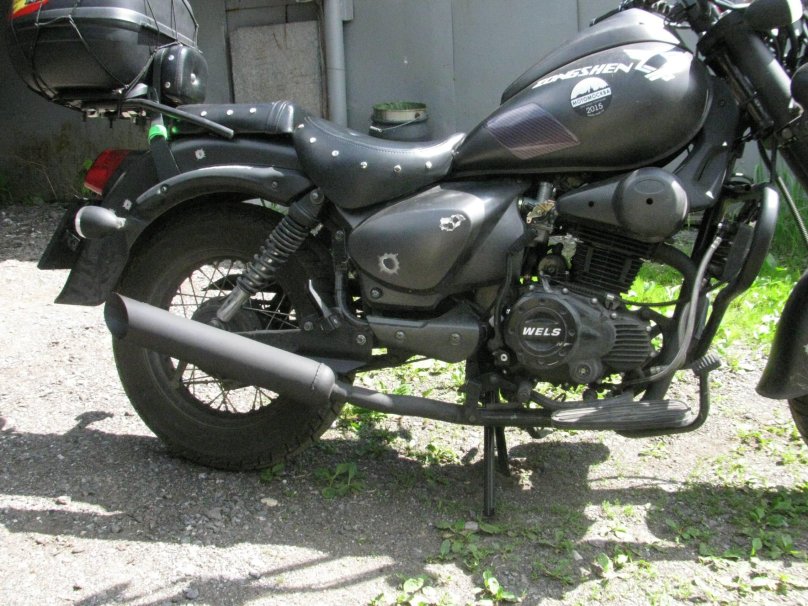 Велс трофейный 250 кастом