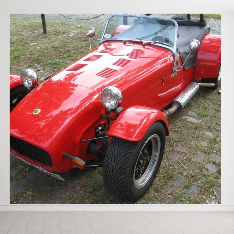 Лотус старый