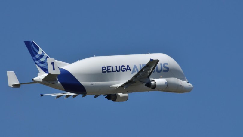 BGA Beluga