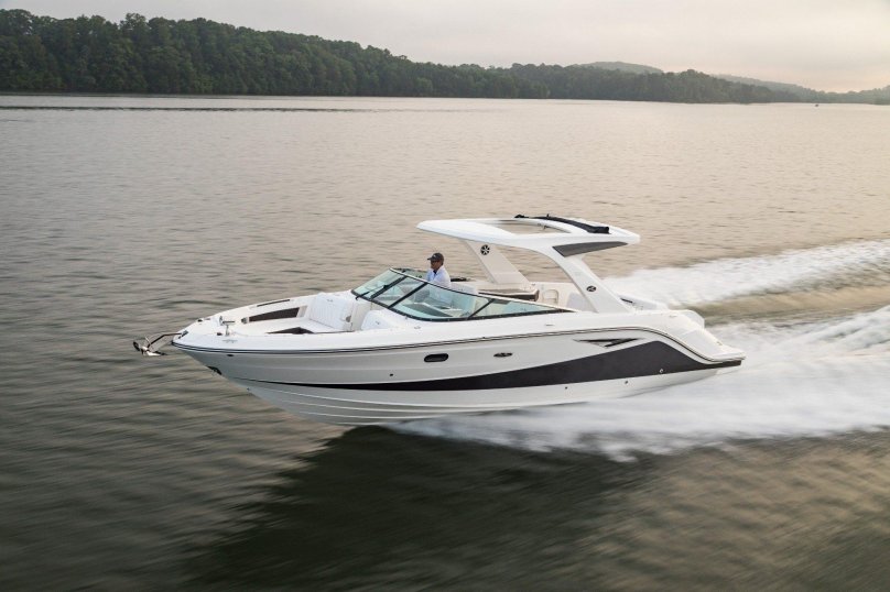 Sea ray 310