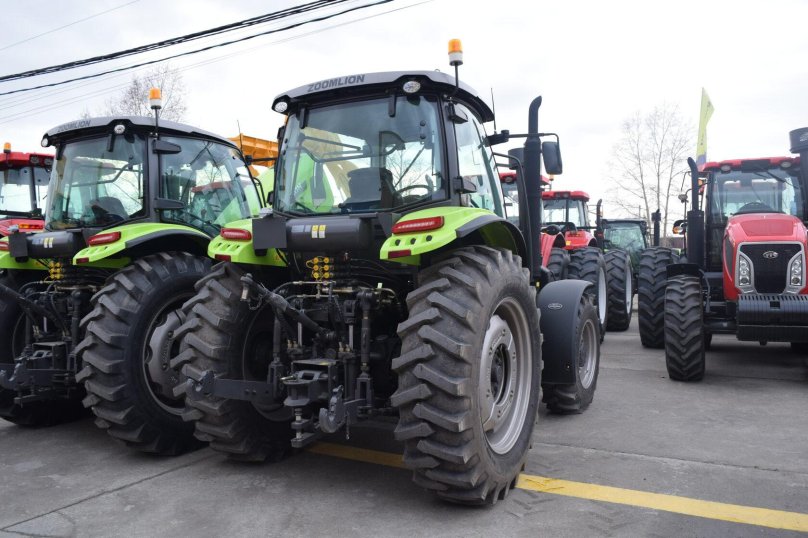 Зумлион rs1604