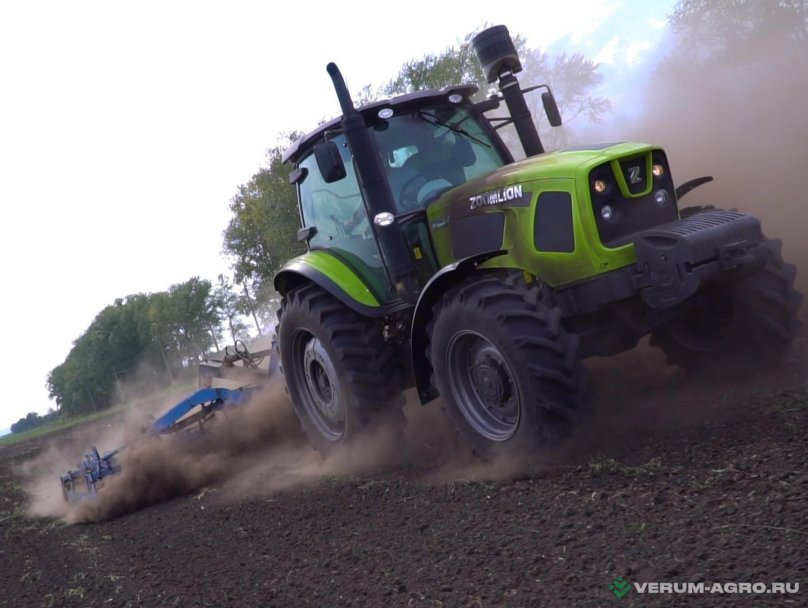 Зумлион rs1604