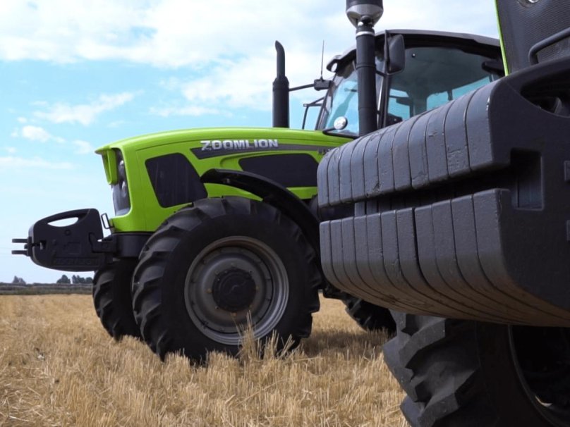 Зумлион rs1604