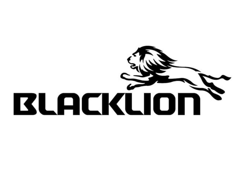Blacklion шины