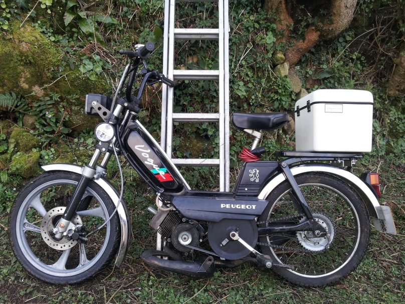 Мопед Peugeot Vogue 2010