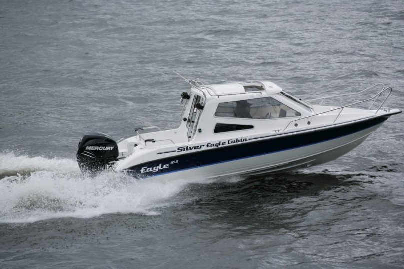 Сильвер игл кабин 650