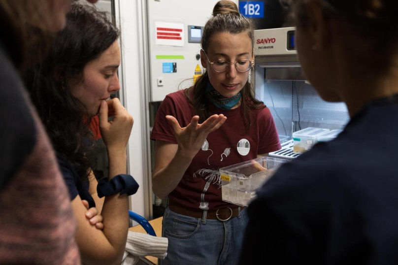 Субботы Московского школьника