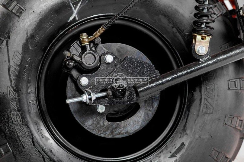 Draxter купить