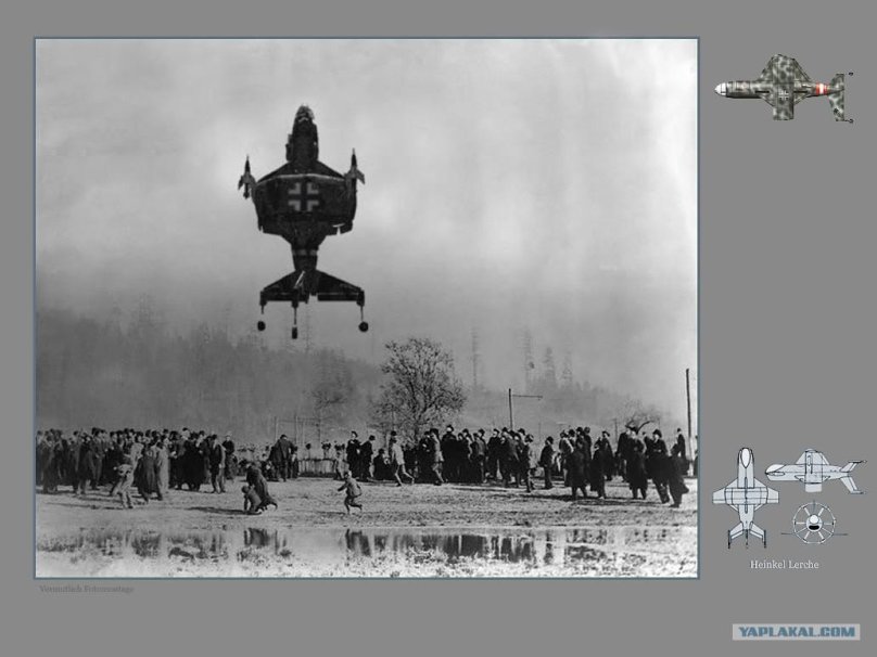 Lerche самолет Хейнкель