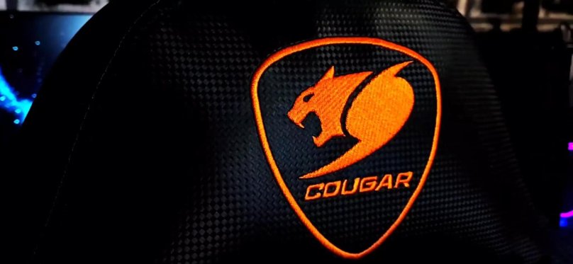 Cougar explore Black