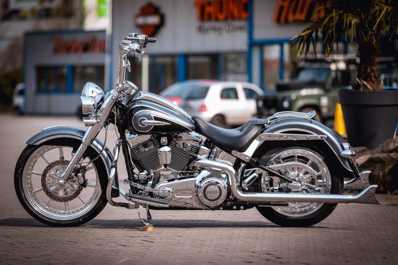 Harley Davidson Softail