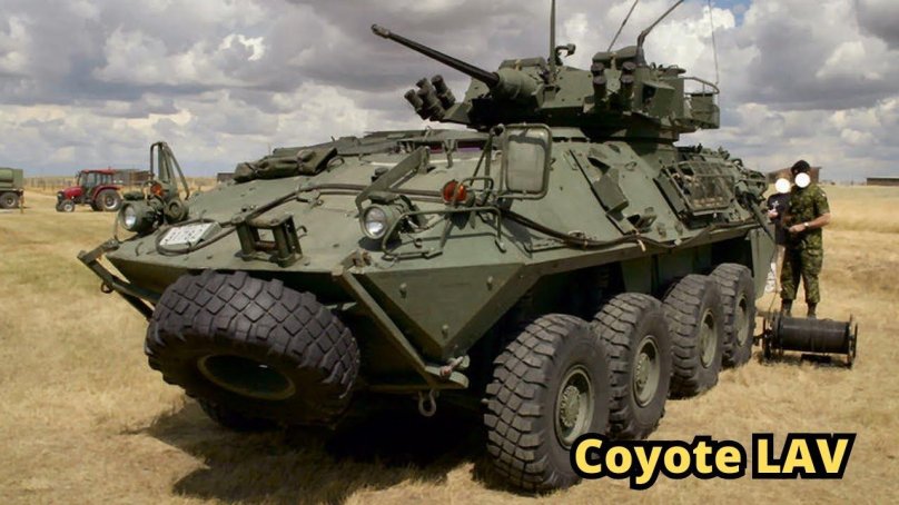 Lav-25 Coyote