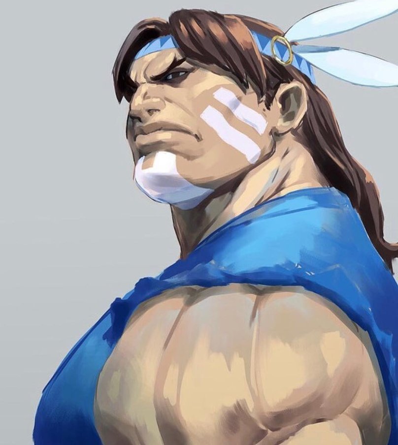 Ти Хоук стритфайтер