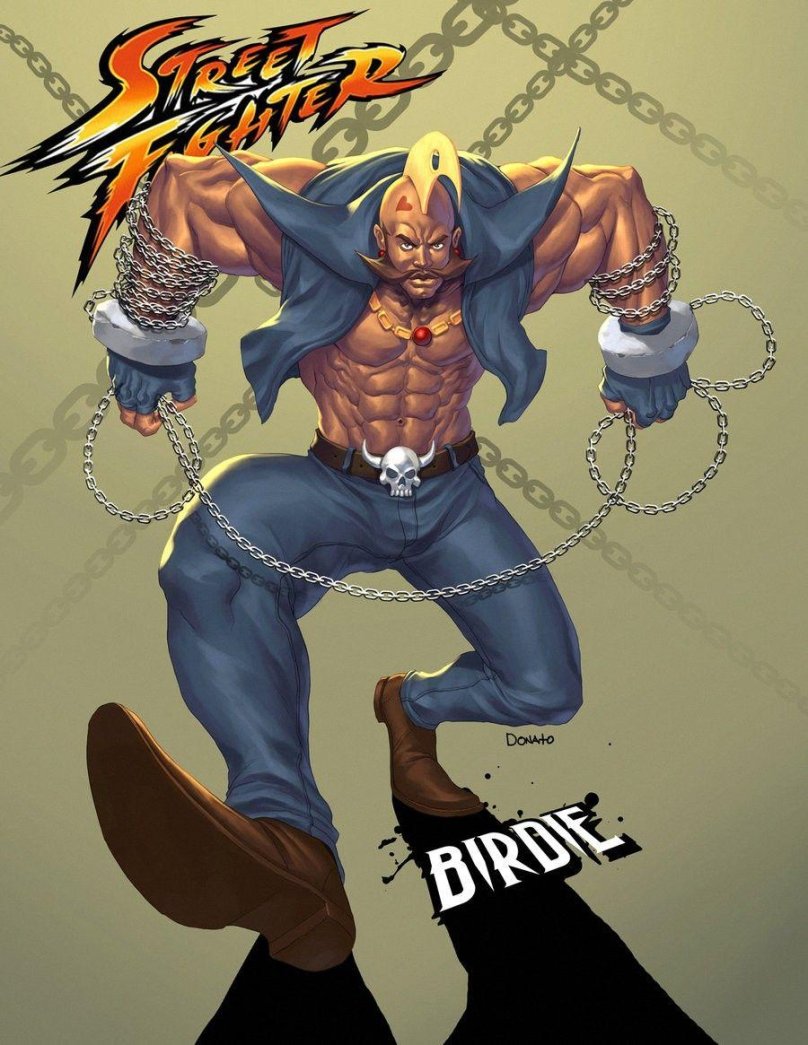 Бёрди стритфайтер