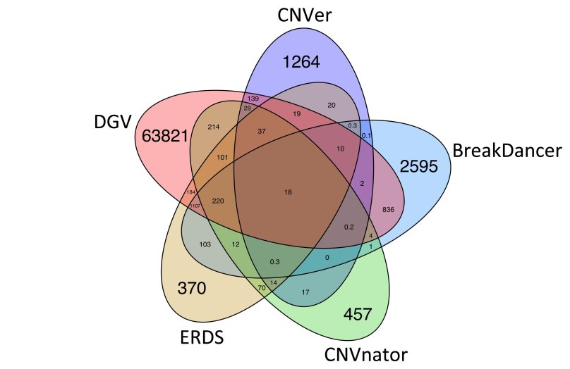 Круги Эйлера