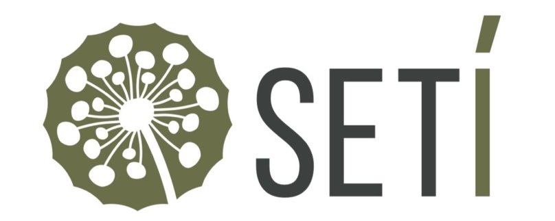 4. Г-компания Setters картинка